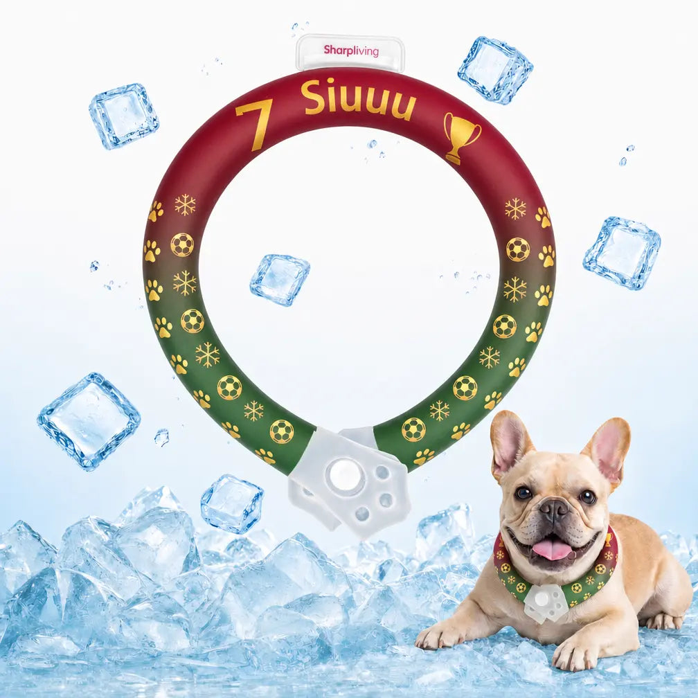 Professional Reusable Pet Cooling Collar - Advanced TPU Phase Change Material with 64°F Ice Ring for Small and Large Dogs, Sweat-Free Neck Wrap for Summer Heat Relief, Ideal for Beach Trips, Safe and Stylish Design