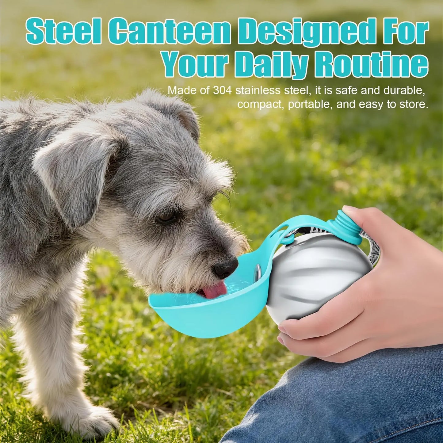 Lumikata 2-in-1 Portable Dog Water Bottle with Stainless Steel and Silicone Foldable Bowl - 10oz Leak-Proof Solution for Small Dogs and Pet Feeding